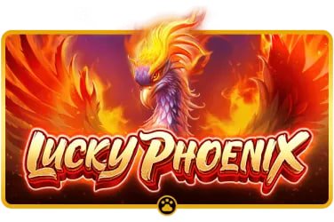 Phoenix888 မိုဘိုင်း APP မှ Live Casino ကစားနေသောမြင်ကွင်း